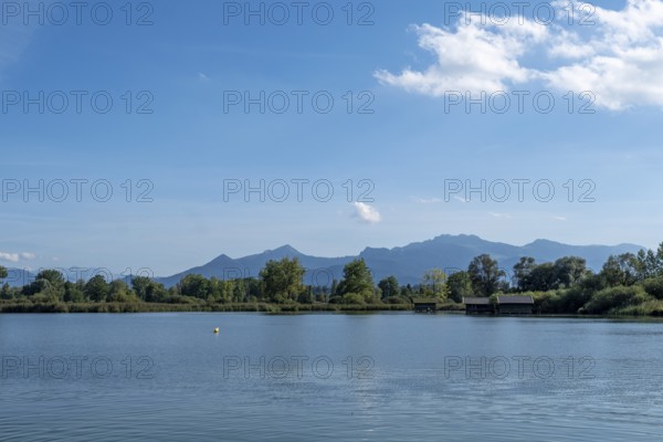 Tranquil lake with views of wooded shores and mountain landscape under a clear blue sky, Chiemsee, Bavaria, Germany