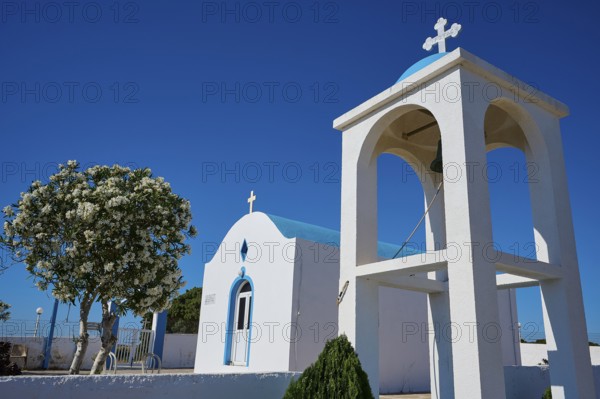 Chapel of Agios Charalambos, White chapel with bell tower and blossoming tree in the background, Kefalos, Kos, Dodecanese, Greek Islands, Greece