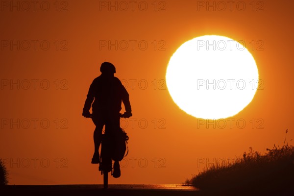 A bicycle rides at sunrise on a country lane near Frankfurt am Main, Frankfurt am Main, Hesse, Germany