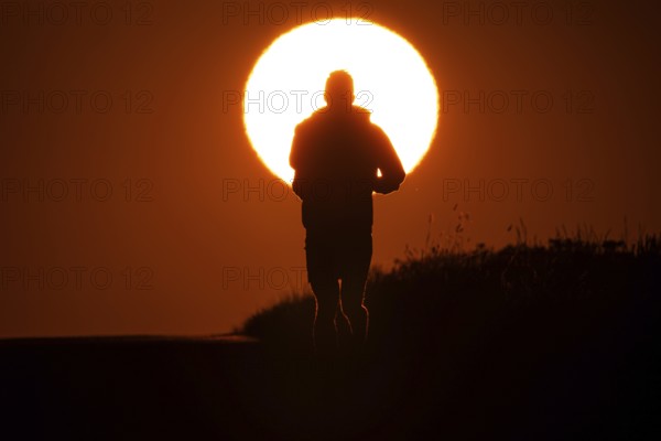 A jogger runs at sunrise on a country lane near Frankfurt am Main, Frankfurt am Main, Hesse, Germany