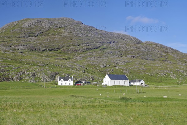 White houses stand in a green meadow with mountains in the background. Sheep grazing nearby, Barra, Hebrides, Scotland, Great Britain