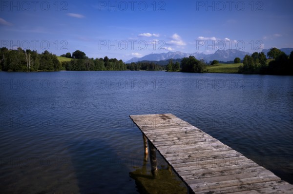 Bathing jetty, jetty, wooden jetty, jetty, leads into a lake, bathing lake, Schwaltenweiher near Seeg, Ostallgäu, Allgäu, Swabia, Bavaria, Germany