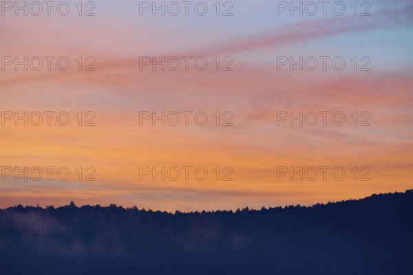 Silhouette of a forest at sunrise with orange-pink sky, Miltenberg, district Miltenberg, Spessart, Bavaria, Germany