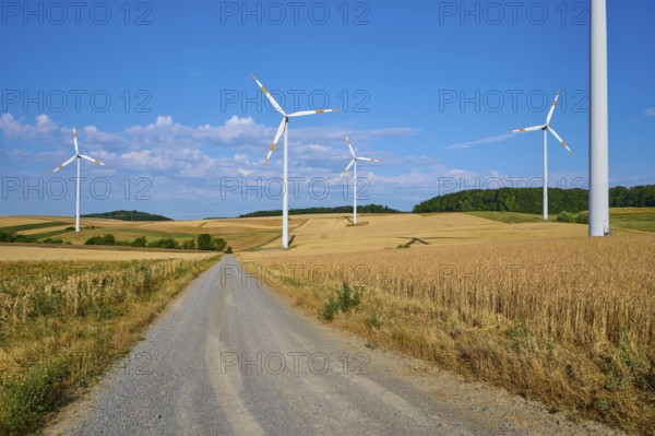 Wind turbines along a country lane in the middle of a quiet landscape, summer, Wenkheim, Werbach, Baden-Württemberg, Germany