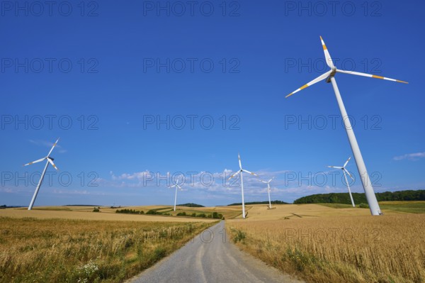 Wind turbines along a road through a vast cornfield under a blue sky, summer, Wenkheim, Werbach, Baden-Württemberg, Germany