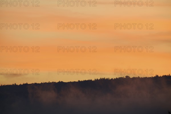 Foggy forest silhouette under an orange sunrise sky, Miltenberg, Miltenberg district, Spessart, Bavaria, Germany