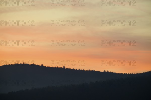 Forest silhouette under a pink sunrise sky with soft shadows, Miltenberg, Miltenberg district, Spessart, Bavaria, Germany