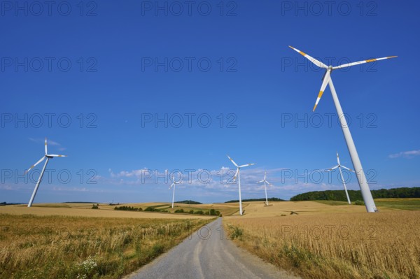 Wind turbines flanking a country road in a quiet wheat field landscape, summer, Wenkheim, Werbach, Baden-Württemberg, Germany