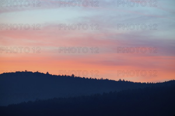 Blue-pink sky over hills at sunrise, silhouette of trees, Miltenberg, district Miltenberg, Spessart, Bavaria, Germany