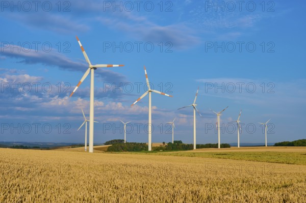 A wind farm on wide fields with several wind turbines under a blue sky, summer, Höhefeld, Wertheim, Baden-Württemberg, Germany