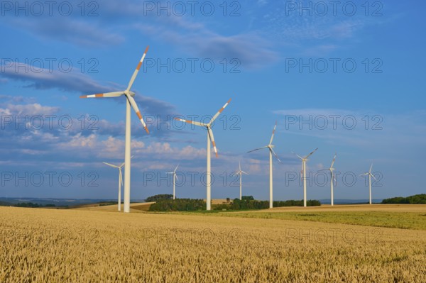 Wind turbines stand on a wide grain field under a light blue sky, summer, Höhefeld, Wertheim, Baden-Württemberg, Germany