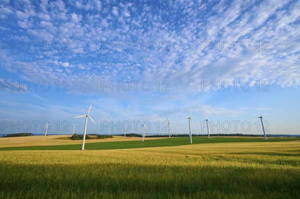 A row of wind turbines on green fields under a cloudy sky, summer, Höhefeld, Wertheim, Baden-Württemberg, Germany