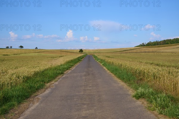 Long road through rolling fields under a blue sky with clouds in the background, summer, Höhefeld, Wertheim, Baden-Württemberg, Germany