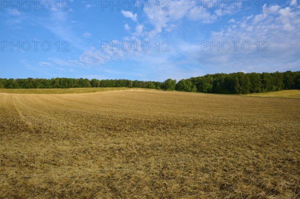 Empty, ploughed field with trees on the horizon under a partly cloudy sky, summer, Höhefeld, Wertheim, Baden-Württemberg, Germany