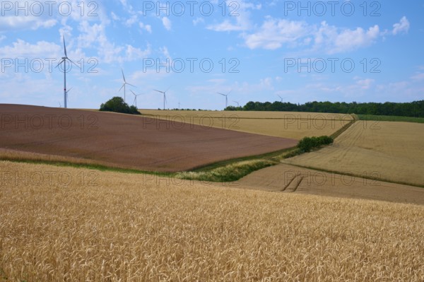 Gently rolling hills with windmills and cornfields under a sunny sky convey peace and harmony, summer, Arnstein, Main Spessart district, Bavaria, Germany