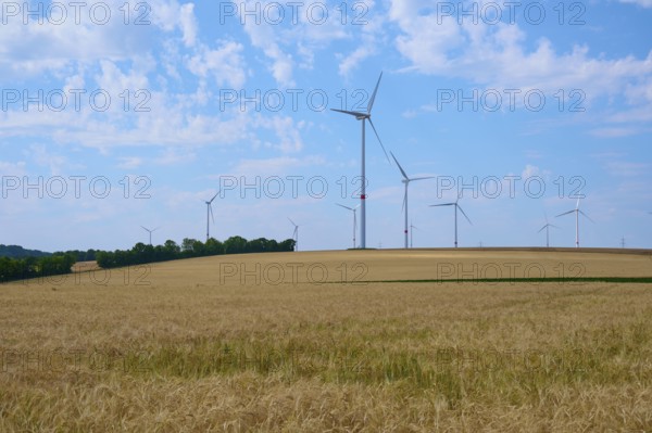 Several wind turbines stand on extensive grain fields under a clear blue sky, the vastness emphasises a peaceful atmosphere, summer, Arnstein, Main Spessart district, Bavaria, Germany