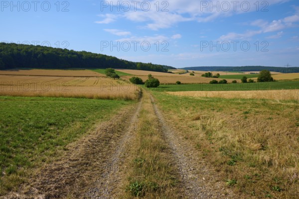 Straight country lane through wide fields under a vast blue sky, summer, Neubrunn, Würzburg district, Bavaria, Germany