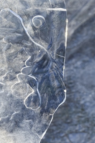 The mask... Ice sculptures (winter flood Lower Rhine 2020, 2021), art in nature, ice plate formed by wind and weather, imagination, weather conditions, Bislicher Insel near Xanten, nationally known nature reserve, Wesel district, Lower Rhine, Rhineland, North Rhine-Westphalia, Germany, Western Europe