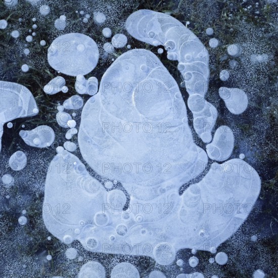 Air bubbles... Ice (winter flood 2020, 2021), ice layer with frozen air bubbles on a meadow on the Lower Rhine flooded and frozen in severe frost, fantasy, weather situation, Bislicher Insel near Xanten, nationally known nature reserve, Wesel district, Lower Rhine, Rhineland, North Rhine-Westphalia, Germany, Western Europe