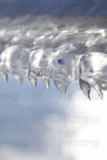 Shark teeth... Ice formations (winter flood 2020, 2021) formed from wind and water on an ice sheet after receding floodwaters, weather conditions, Bislicher Insel near Xanten, nationally known nature reserve, Wesel district, Lower Rhine, Rhineland, North Rhine-Westphalia, Germany, Western Europe