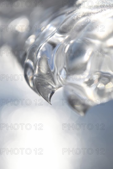 Needle point... Ice tooth (winter flood and cold snap 2020, 2021), ice formed by wind, weather and floods, weather situation, Bislicher Insel near Xanten, nationally known nature reserve, Wesel district, Lower Rhine, Rhineland, North Rhine-Westphalia, Germany, Western Europe