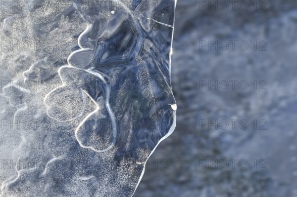 The mask... Ice sculptures (winter flood Lower Rhine 2020, 2021), art in nature, ice plate formed by wind and weather, imagination, weather conditions, Bislicher Insel near Xanten, nationally known nature reserve, Wesel district, Lower Rhine, Rhineland, North Rhine-Westphalia, Germany, Western Europe