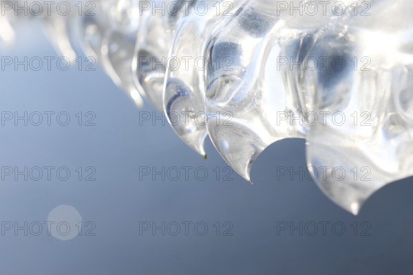 Sculpted by wind and weather... Ice teeth (winter flood 2020, 2021), natural ice sculptures, details of an overhanging ice plate, Bislicher Insel near Xanten, nationally known nature reserve, Wesel district, Lower Rhine, Rhineland, North Rhine-Westphalia, Germany, Western Europe