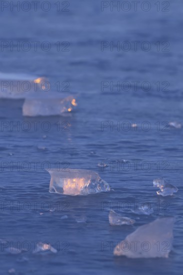Blue ice... Ice sheets (high water on the Lower Rhine), ice sheets on an ice surface in the early morning light, weather conditions, Bislicher Insel near Xanten, nationally known nature reserve, Wesel district, Lower Rhine, Rhineland, North Rhine-Westphalia, Germany, Western Europe