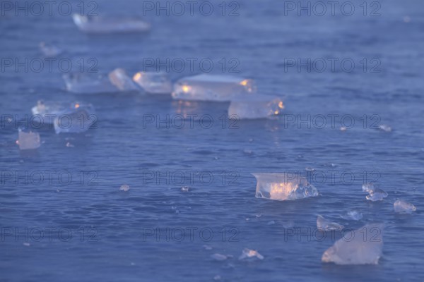 Blue ice... Ice sheets (high water on the Lower Rhine), ice sheets on an ice surface in the early morning light, weather conditions, Bislicher Insel near Xanten, nationally known nature reserve, Wesel district, Lower Rhine, Rhineland, North Rhine-Westphalia, Germany, Western Europe