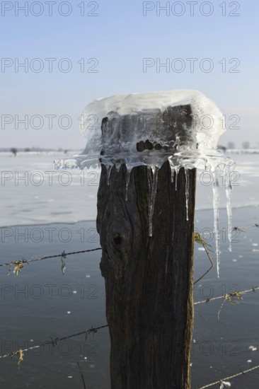 Ice cap... Ice formation (winter flood 2020, 2021), Bislicher Insel near Xanten, North Rhine-Westphalia, Germany during extreme cold for the region, nationally known nature reserve, Wesel district, Lower Rhine, Rhineland, Germany, Western Europe