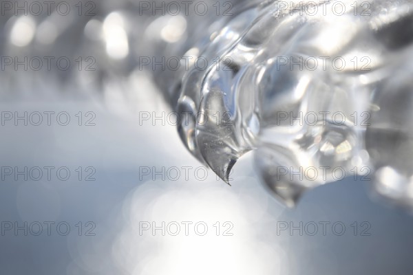Needle point... Ice tooth (winter flood and cold snap 2020, 2021), ice formed by wind, weather and floods, weather situation, Bislicher Insel near Xanten, nationally known nature reserve, Wesel district, Lower Rhine, Rhineland, North Rhine-Westphalia, Germany, Western Europe