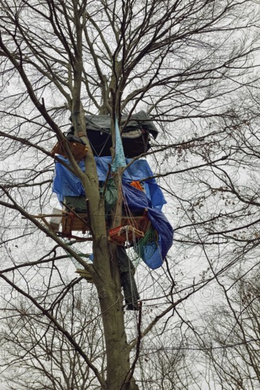 Standing up for the preservation of the forest... Tree house in Hambach Forest, environmental activists occupy trees to protest against the clearing of the forest for open-cast lignite mining. Hambach Forest became a nationally recognised symbol of resistance in the fight against climate change and global warming. For years, environmental and climate activists lived in tree houses to protest against deforestation. Hambach Forest, Düren district, North Rhine-Westphalia, Germany, Western EuropeCampaigning for the preservation of the forest... Tree house in Hambach Forest (North Rhine-Westphalia), environmental activists occupy trees to protest against clearing for open-cast lignite mining. Hambach Forest became a nationally recognised symbol of resistance against the expansion of lignite mining and the fight against progressive climate change, global warming. Large parts of Hambach Forest were cleared to make way for RWE's open-cast mine. Environmental activists and climate activists liv...