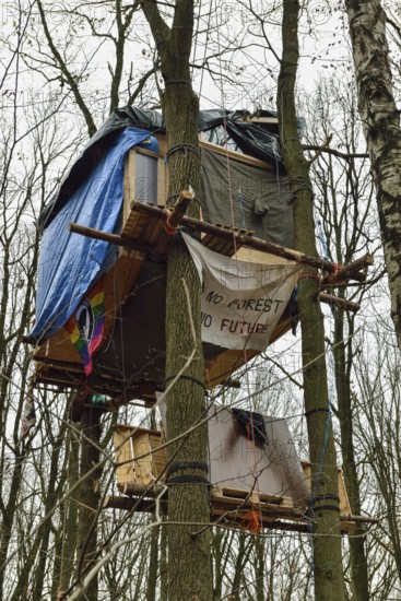 Standing up for the preservation of the forest... Tree house in Hambach Forest, environmental activists occupy trees to protest against the clearing of the forest for open-cast lignite mining. Hambach Forest became a nationally recognised symbol of resistance in the fight against climate change and global warming. For years, environmental and climate activists lived in tree houses to protest against deforestation. Hambach Forest, Düren district, North Rhine-Westphalia, Germany, Western Europe