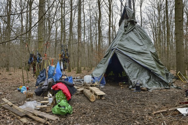 Protest camp against deforestation... Hambach Forest became a nationally recognised symbol of resistance against the expansion of lignite mining and the fight against climate change and global warming. Large parts of Hambach Forest were cleared to make way for RWE's open-cast mine. For years, environmental and climate activists lived in tree houses in the forest to protest against the deforestation. Hambach Forest, Düren district, North Rhine-Westphalia, Germany, Western Europe