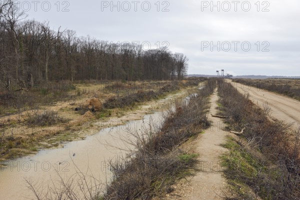 View of Hambach Forest and the nearby edge of the open-cast lignite mine. Hambach Forest became a nationally recognised symbol of resistance to the expansion of lignite mining and the fight against progressive climate change and global warming. Environmental activists and climate activists lived in tree houses for years to protest against deforestation. Hambach Forest, Düren district, North Rhine-Westphalia, Germany, Western Europe