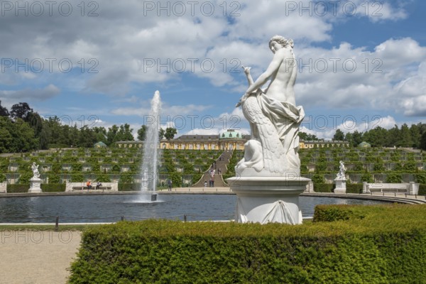 Sanssouci Palace, Great Fountain, Vineyard Terraces, Potsdam, Brandenburg, Germany