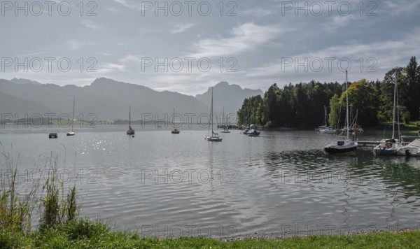 Forggensee near Füssen, Tannheimer Berge, Ostallgäu, Bavaria, Germany