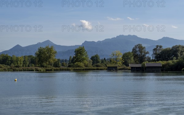 Calm lake with mountains in the background, surrounded by trees and a clear blue atmosphere, Chiemsee, Bavaria, Germany