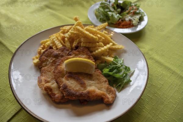 Wiener Schnitzel with French fries and salad, Bavaria, Germany