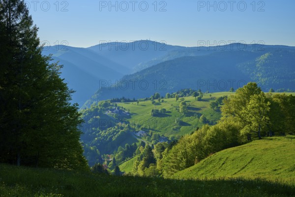 A sunny valley with Feldberg and lush green and clear sky, spring, Schauinsland, Freiburg im Breisgau, Black Forest, Baden-Württemberg, Germany