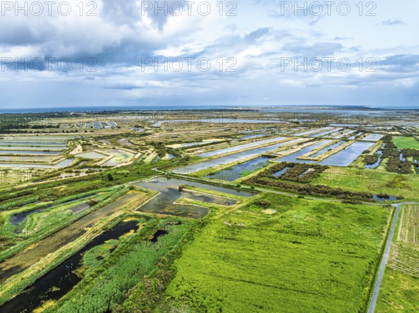 The Lilleau des Niges National Nature Reserve from a drone, The salt marshes, Saint-Clement-des-Baleines, Atlantic, France