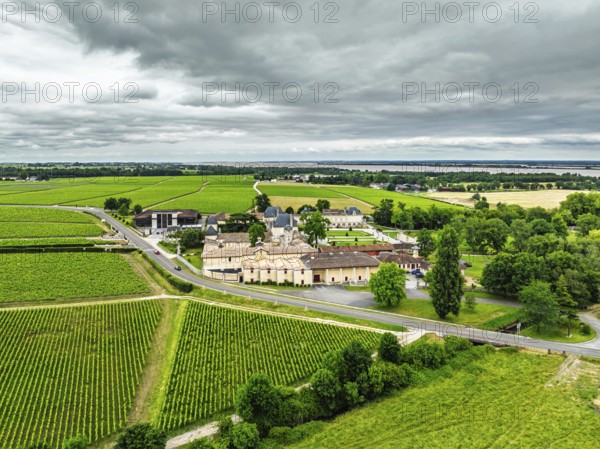 Vineyard of Chateau Beychevelle from a drone, Saint-Julien-Beychevelle, France