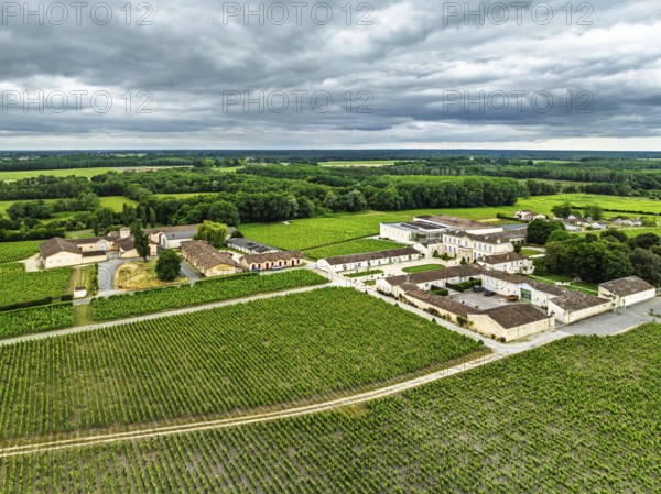 Vineyard of Chateau Branaire-Ducru and Vineyard of Chateau Beychevelle from a drone, Saint-Julien-Beychevelle, France