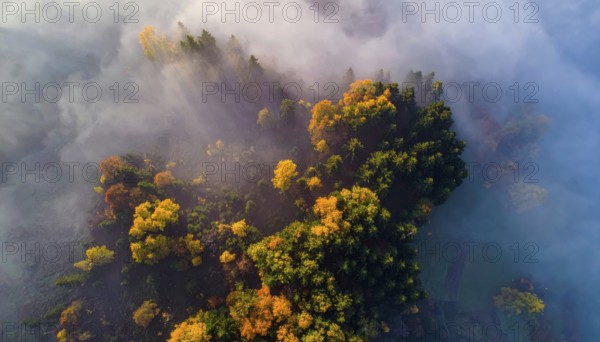 Mystical foggy landscape in autumn, colorful forest with fog in an aerial drone view, AI generated