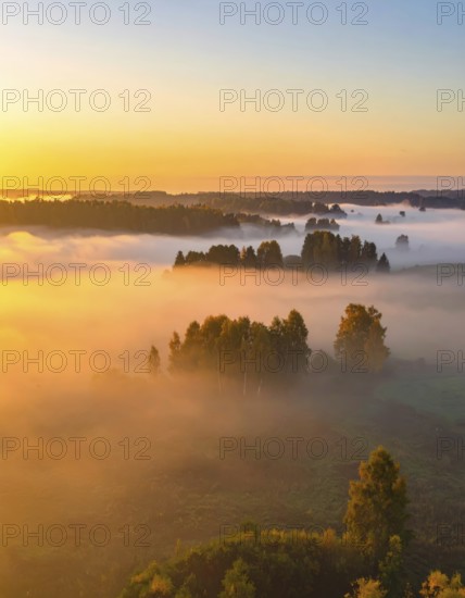 Mystical foggy landscape in autumn, colorful trees in fog, misty mood nature atmosphere, AI generated