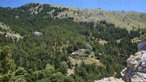 Lush wooded hills and mountains under a blue sky, Abandoned village, Lost place, Pyli, Paleo Pyli, Byzantine fortress, Kos, Dodecanese, Greek Islands, Greece
