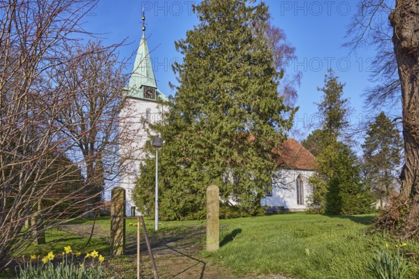 Evangelical Lutheran Church Hille, bare winter trees, blue cloudless sky, Eickhorster Straße, Hille, Mühlenkreis Minden-Lübbecke, North Rhine-Westphalia, Germany