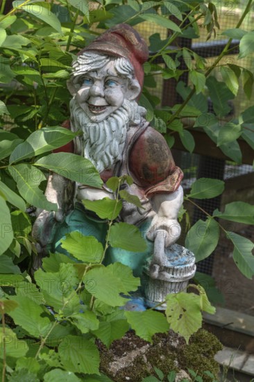 Garden gnome in a garden, Bavaria, Germany
