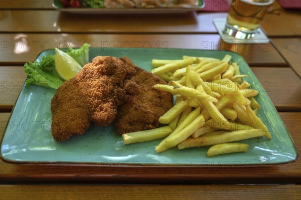 Wiener Backhändel with French fries, served in a garden restaurant, Franconia, Bavaria, Germany