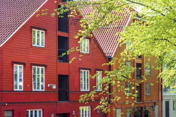 Norway, scenic Trondheim town. Bakklandet, a famous tourist travel destination with colorful houses